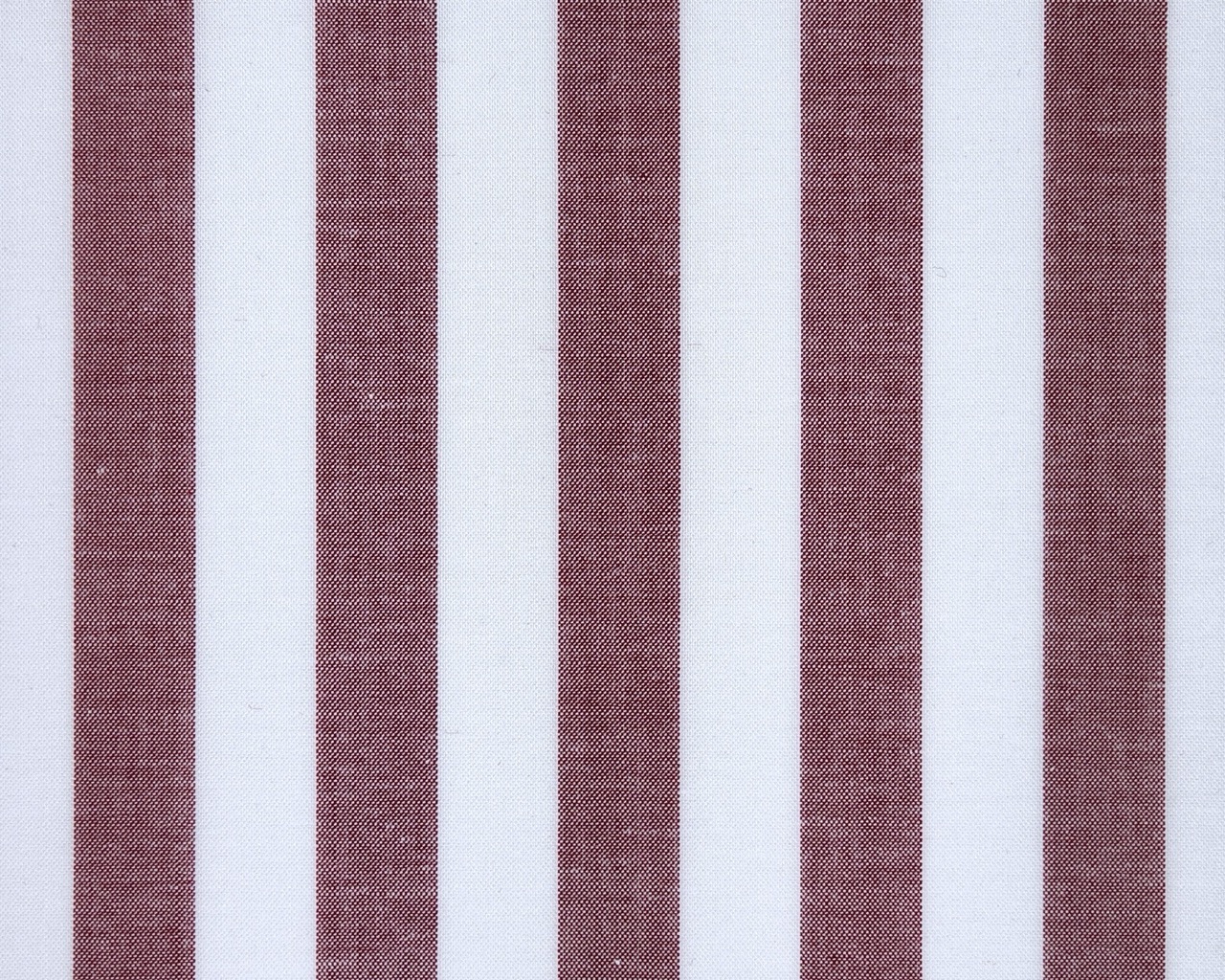 ga.za.ba Stretch Shirting Fabric