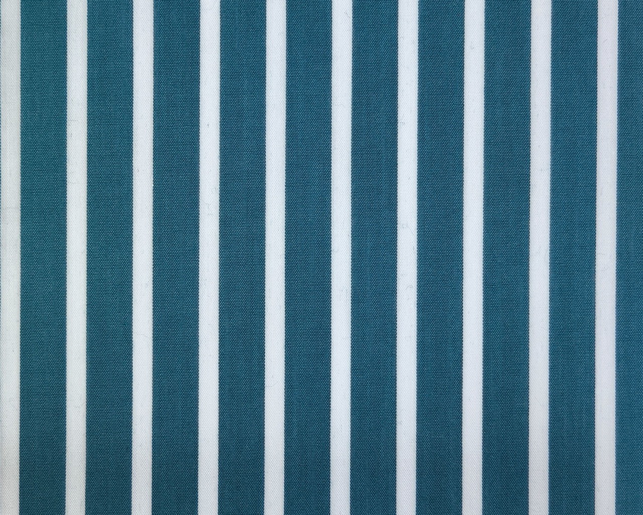 ga.za.ba Stretch Shirting Fabric