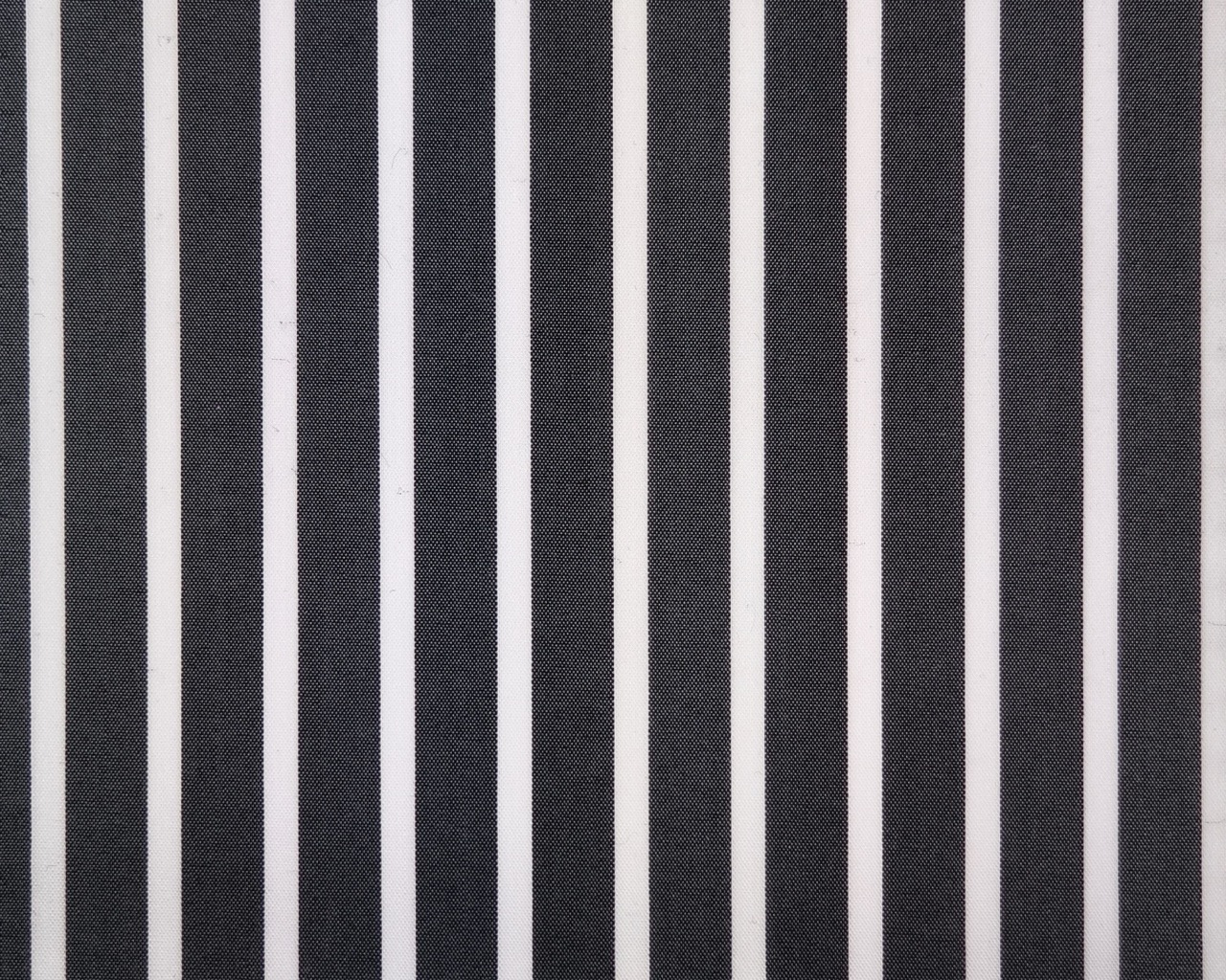 ga.za.ba Stretch Shirting Fabric